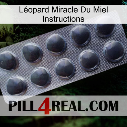 Léopard Miracle Du Miel Instructions 30